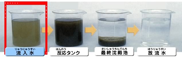 水質の推移