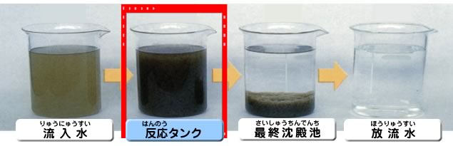 水質の推移