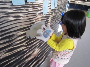 海の国