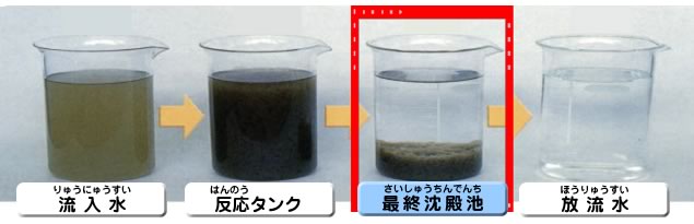 水質の推移