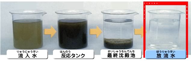 水質の推移